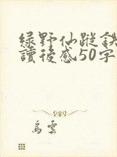 绿野仙踪铁皮人读后感50字