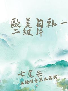 欧美日韩一级片二级片