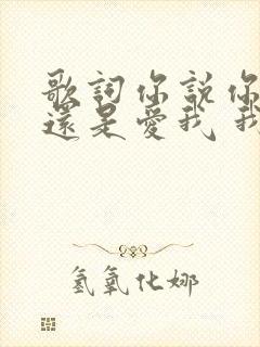 歌词你说你说你还是爱我 我无法挽留