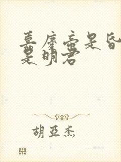 嘉庆帝是昏君还是明君