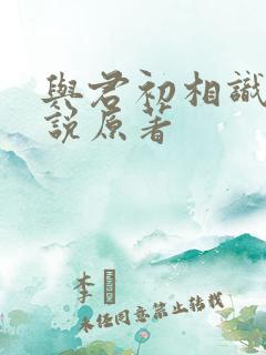 与君初相识的小说原著