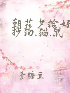 朝花夕拾好句摘抄狗.猫.鼠