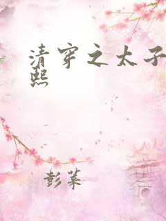 清穿之太子妃康熙