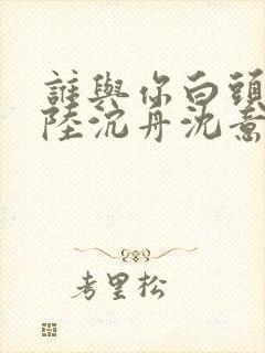 谁与你白头成眷陆沉舟沈意欢小说