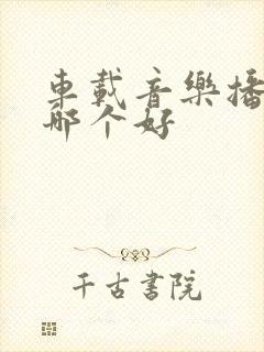 车载音乐播放器哪个好