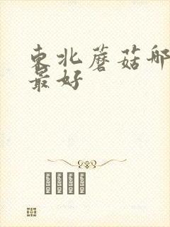 东北蘑菇哪里的最好