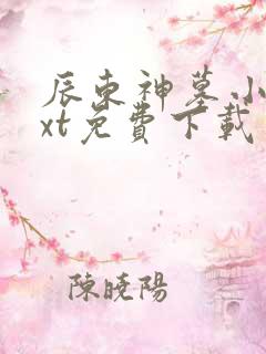 辰东神墓小说txt免费下载
