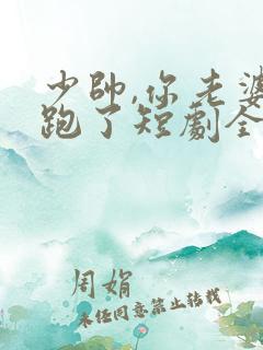 少帅,你老婆又跑了短剧全集