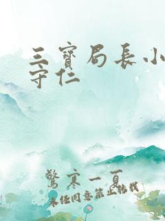 三宝局长小说秦守仁