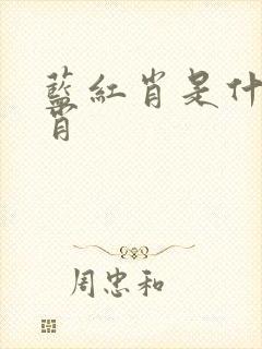 蓝红肖是什么生肖