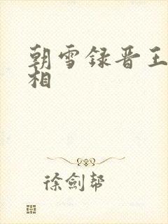 朝雪录晋王案真相