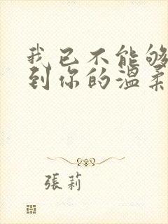 我已不能够再见到你的温柔是什么歌