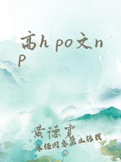 高h po文np
