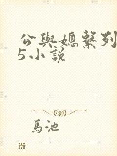 公与媳系列1—5小说