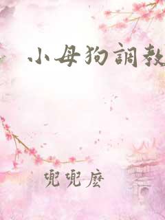 小母狗调教h