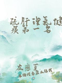 疏肝理气健脾化痰第一名
