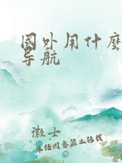 国外用什么地图导航