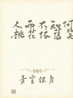人面不知何处去,桃花依旧笑春风啥意思