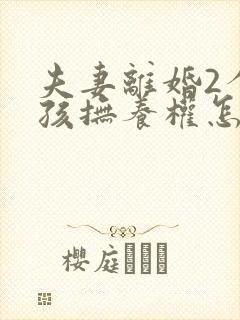 夫妻离婚2个小孩抚养权怎么判