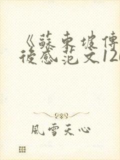 《苏东坡传》读后感范文1200字5篇