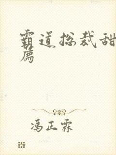 霸道总裁甜文推荐