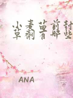 小麦苗前封闭除草剂有哪些 小麦苗前封闭除草剂有哪些