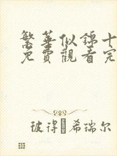 繁华似锦十四集免费观看完整版