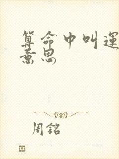 算命中叫运什么意思