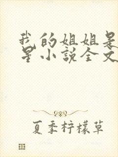 我的姐姐是大明星小说全文免费阅读笔趣阁 我的姐姐是大明星小说全文免费阅读笔趣阁