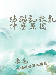 幼猫乱拉乱尿是什么原因