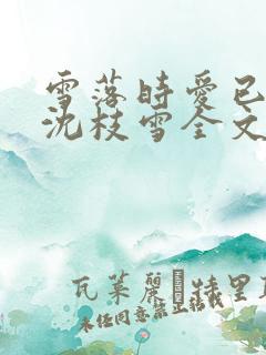 雪落时爱已落幕沈枝雪全文小说