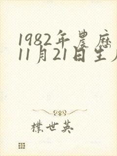 1982年农历11月21日生辰八字