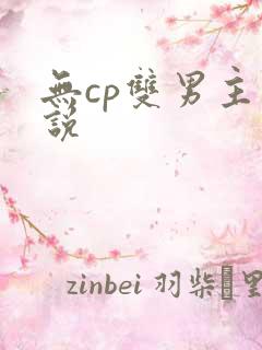 无cp双男主小说