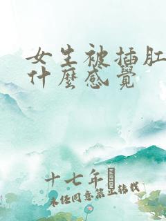 女生被插肛门是什么感觉