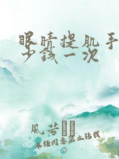 眼睛提肌手术多少钱一次