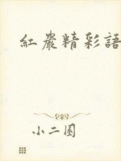 红岩精彩语句
