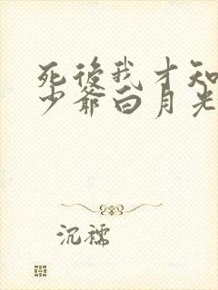 死后我才知京圈少爷白月光