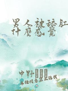 男人被舔肛门是什么感觉