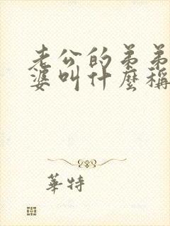 老公的弟弟的老婆叫什么称呼