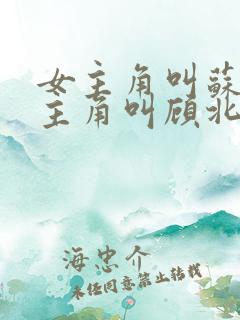女主角叫苏o男主角叫顾北弦的小说