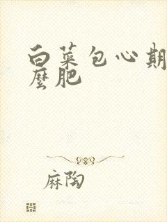 白菜包心期施什么肥