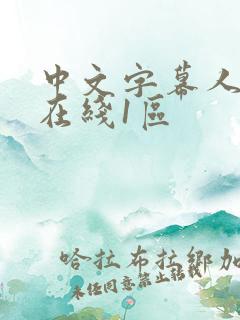 中文字幕人妻乳在线1区