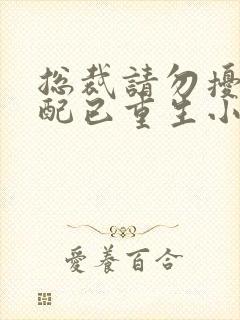 总裁请勿扰,原配已重生小说在线阅读