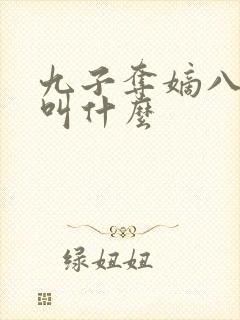 九子夺嫡八阿哥叫什么