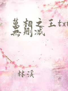 万相之王txt无删减