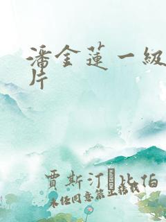 潘金莲一级片淫片