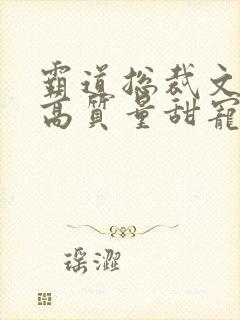 霸道总裁文推荐高质量甜宠