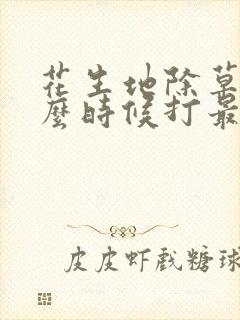 花生地除草剂什么时候打最好