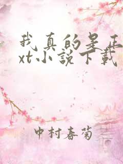 我真的是正派txt小说下载
