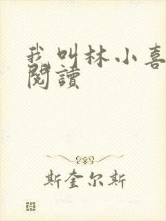 我叫林小喜全文阅读